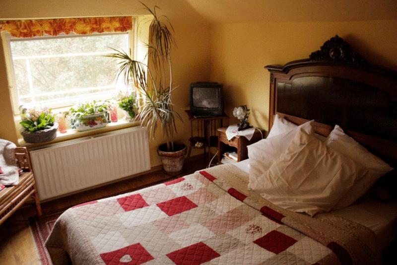 Hotel Les Bluets Bruxelles Cameră foto